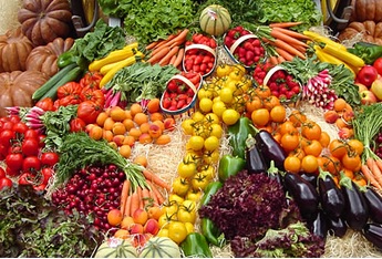 CURSO ALIMENTAÇÃO VEGETARIANA 