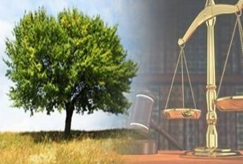 CURSO DIREITO AMBIENTAL