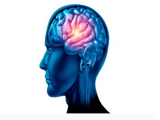 CURSO NEUROLINGU�STICA APLICADA AO ENSINO E APRENDIZAGEM