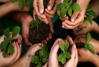 CURSO EDUCAÇÃO AMBIENTAL